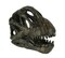 6 inch Brachiosaurus Dinosaur Skull Fossil Statue Resin Brown Office Desk Décor